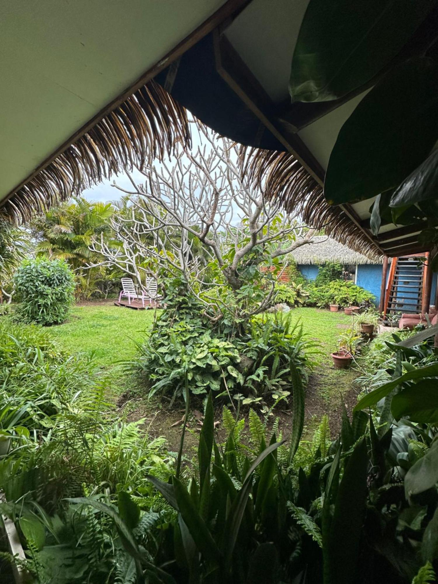 Hare Henua Bed & Breakfast Hanga Roa Exterior foto