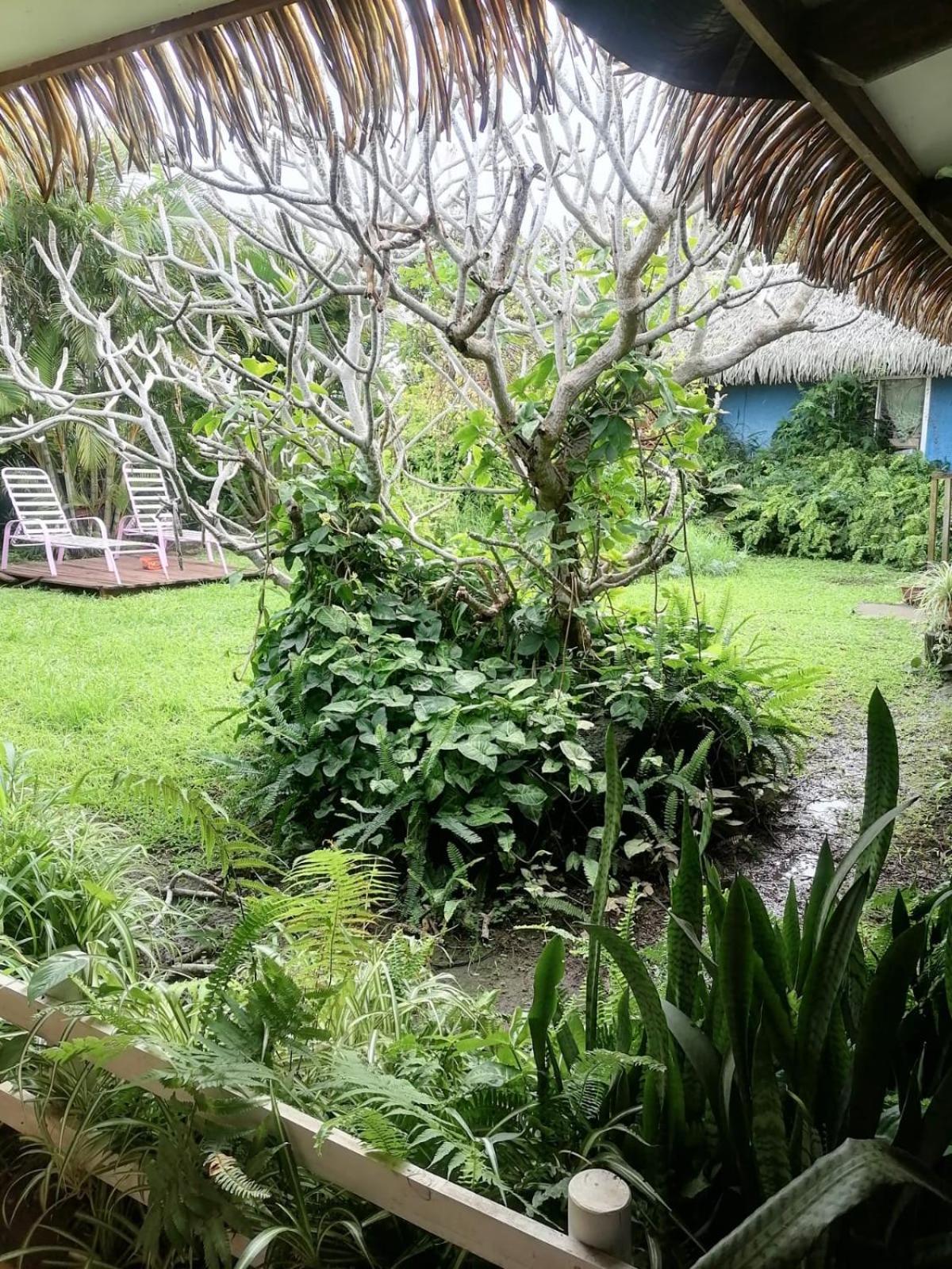 Hare Henua Bed & Breakfast Hanga Roa Exterior foto